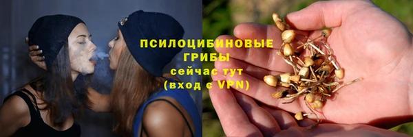 молекула духа Алексеевка