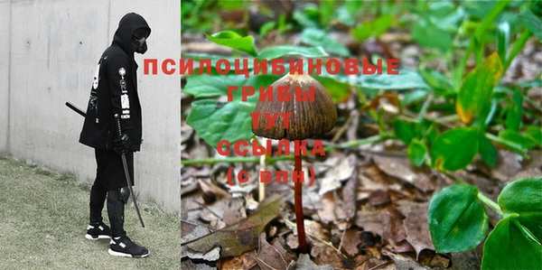 мяу мяу кристалл Алексин