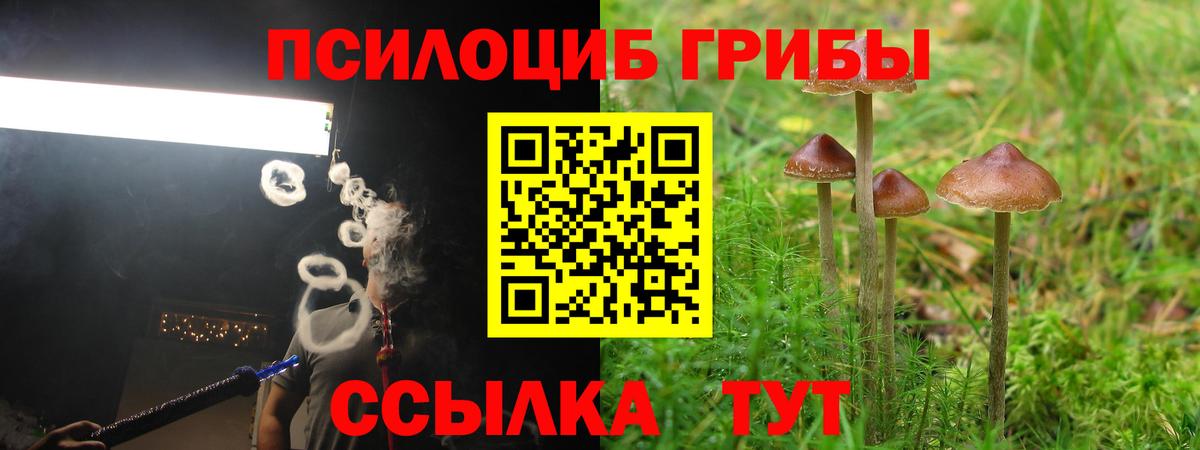 Псилоцибиновые грибы ЛСД  Вход с VPN  Амурск 